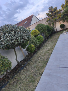 Photo de galerie - Paysagiste - Aménagement du jardin
