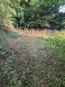 Photo de galerie - Avant notre passage 