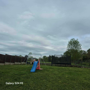 Photo de galerie - Tonte complete 