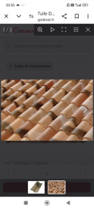 Photo de galerie - Toiture après nettoyage sur Balma 