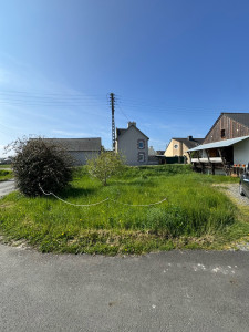 Photo de galerie - Tonte de pelouse - Débroussaillage