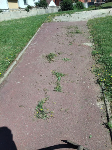 Photo de galerie - Désherbage d'une bordure de chemin bétonnée 