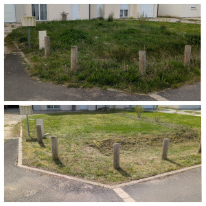 Photo de galerie - Avant / après désherbage de pelouse 