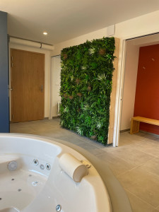 Photo de galerie - Installation d un mur végétal artificiel 