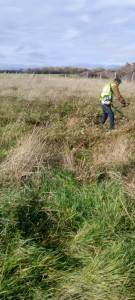 Photo de galerie - Tonte de pelouse - Débroussaillage