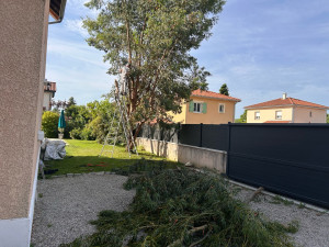 Photo de galerie - Avant 