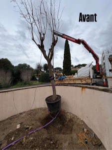 Photo de galerie - Paysagiste - Aménagement du jardin
