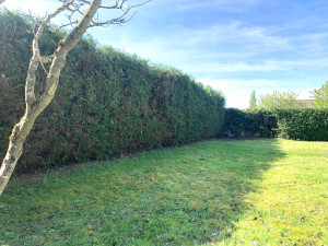 Photo de galerie - Taille