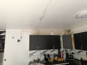 Photo de galerie - Peinture - Tapisserie