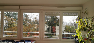 Photo de galerie - Nettoyage des vitres 