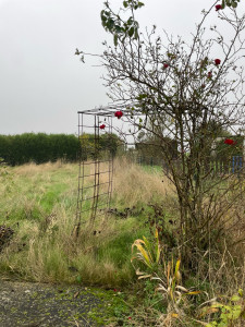 Photo de galerie - Paysagiste - Aménagement du jardin