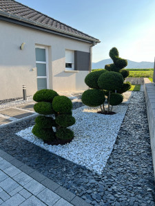 Photo de galerie - Plantation de différente arbustes + tailles et décoration en paillage naturelle