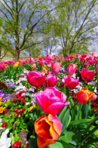 Photo de galerie - Nettoyages 