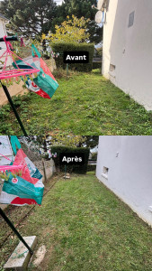 Photo de galerie - Tonte, débroussaillage, taille de haies..