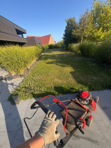 Photo de galerie - Tonte de pelouse - Débroussaillage