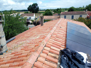 Photo de galerie - Après le traitement curatif et préventif d'Alep 2100 