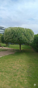 Photo de galerie - Jardinier