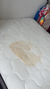 Photo de galerie - Votre matelas a été taché ou souillé (boisson renversée, accident, traces diverses) ? Je propose un nettoyage en profondeur à l’aide d’une shampouineuse professionnelle.
