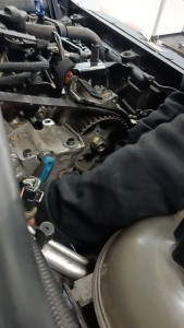 Photo de galerie - Distribution 