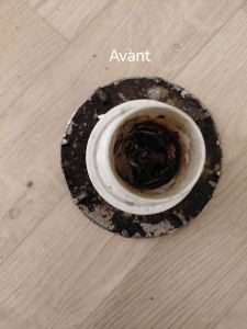 Photo de galerie - Ménage