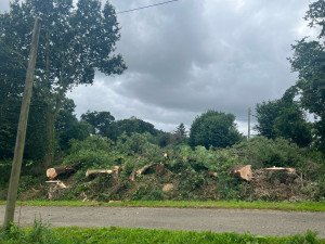 Photo de galerie - Abbatage 