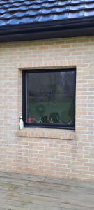 Photo de galerie - Ménage