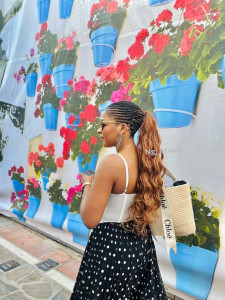 Photo de galerie - Fulani French curl haïr