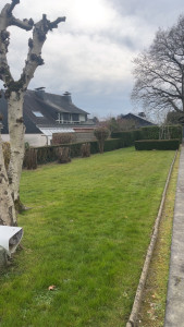 Photo de galerie - Nettoyage d'un jardin : (Tonte+Taille de végétaux)