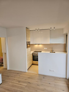 Photo de galerie - Rénovation complète d un appartement 