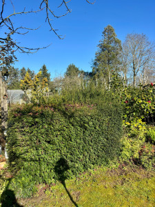 Photo de galerie - Avant