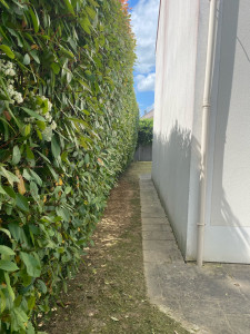 Photo de galerie - Après 