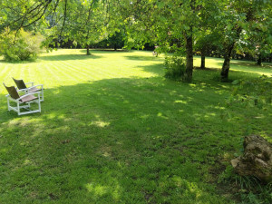 Photo de galerie - Tonte de terrain de plus de 6000m2 secteur Montmoreau.