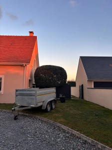 Photo de galerie - Taille d’un Olivier 