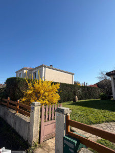 Photo de galerie - Taille de haies et d'arbustes