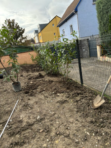 Photo de galerie - Plantation buisson du laurier