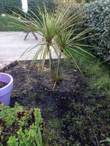 Photo de galerie - Paysagiste - Aménagement du jardin