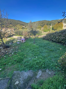 Photo de galerie - Tonte