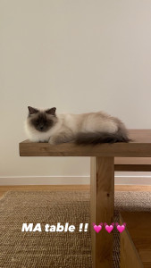 Photo de galerie - Néolita : top vacances relax avec Mamy-chat 