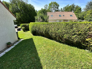 Photo de galerie - Taille de haies et d'arbustes