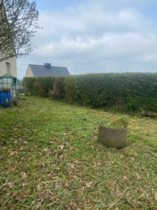 Photo de galerie - Tonte de pelouse - Débroussaillage