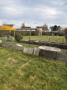 Photo de galerie - Tonte de pelouse - Débroussaillage