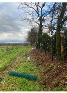 Photo de galerie - Clôture Grillage