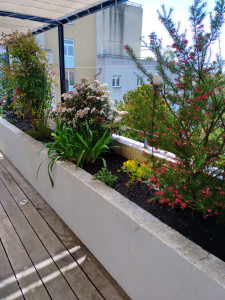 Photo de galerie - Amenagement d’une terrasse sur montpellier.