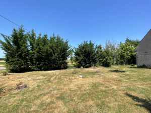 Photo de galerie - Réduction haie Avant 