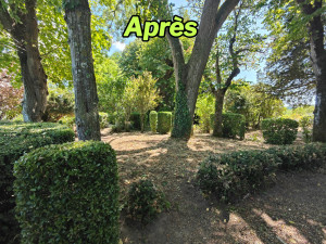 Photo de galerie - Taille de haies et d'arbustes