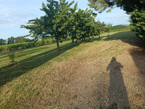 Photo de galerie - Jardinier