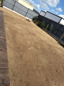 Photo de galerie - Nouvelle pelouse 