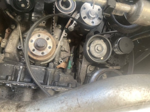 Photo de galerie - Courroie de distribution 