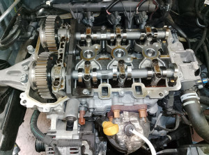 Photo de galerie - Distribution immergée 

