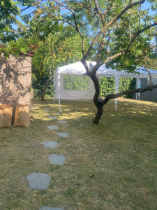 Photo de galerie - Elagage et coupe d'arbres